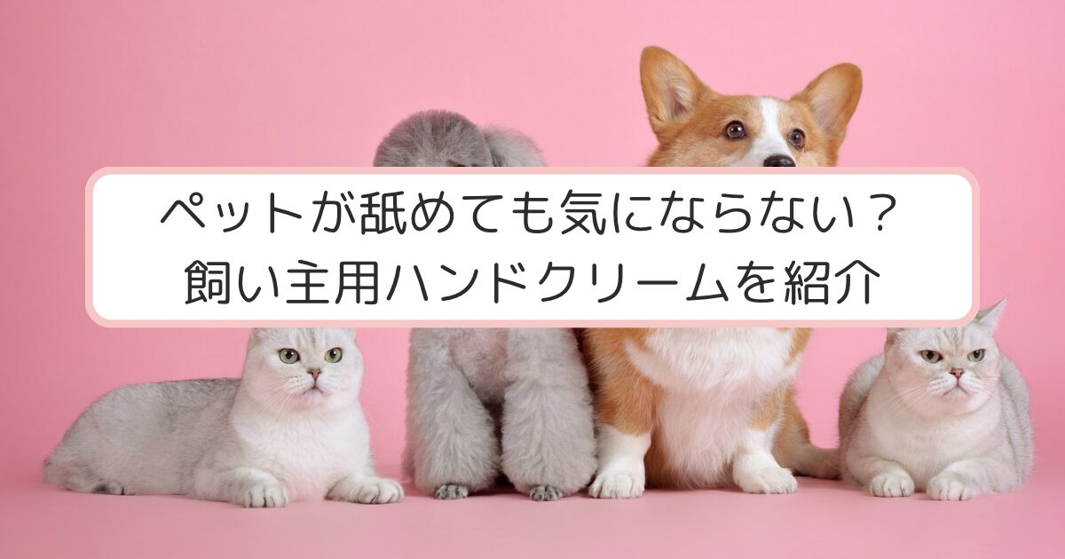 ピンクの背景と犬と猫
