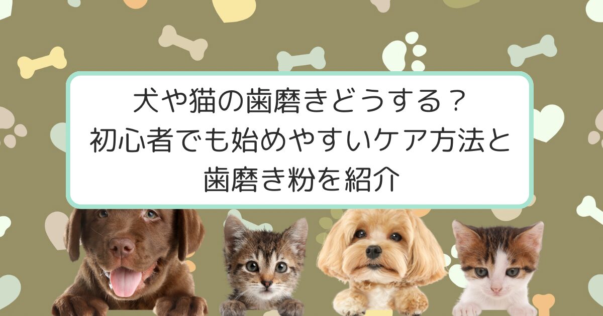 犬と猫が交互に仲良く並んでる写真
