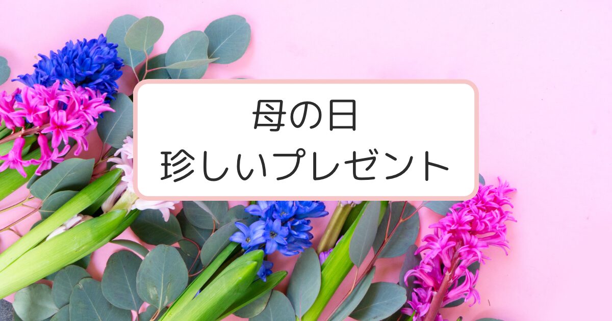 カラフルなヒヤシンスの花